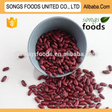 Low Price Red Kidney Beans With Competitive Price